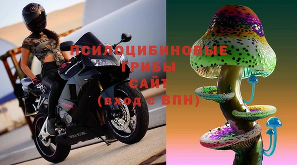 2c-b Верея