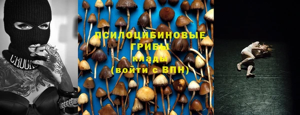 стаф Костерёво