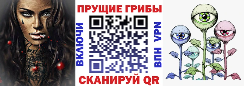 Галлюциногенные грибы Psilocybine cubensis  Ивангород 